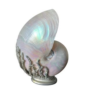 Williams Sonoma Mother of Pearl Shell Decorative Piece – Coastal Elegance